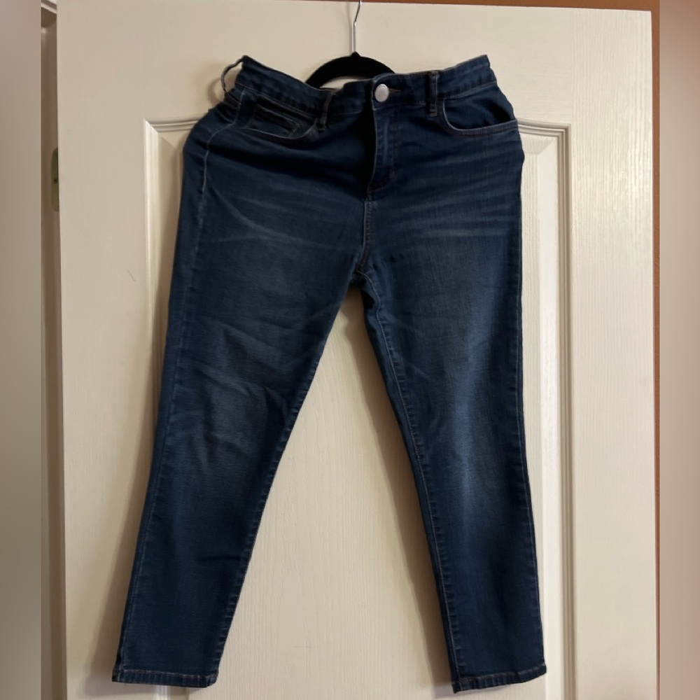 Prosperity Denim Dark Wash Skinny Jeans - Size 10